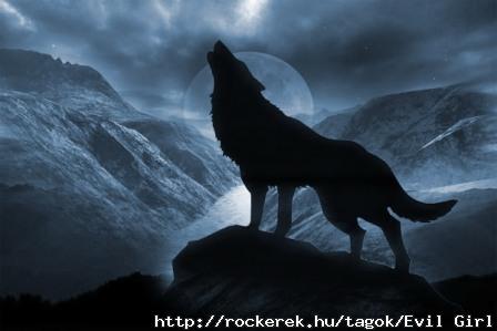 farkas1