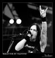 Matthew Tuck4