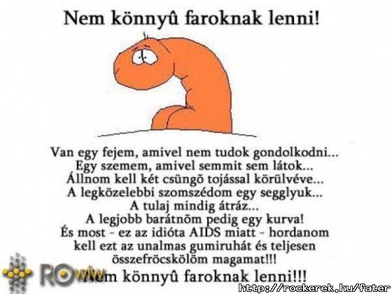 Fasz