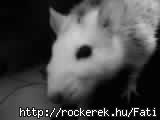 Oktber