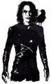 The Crow