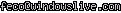 msn
