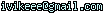 msn