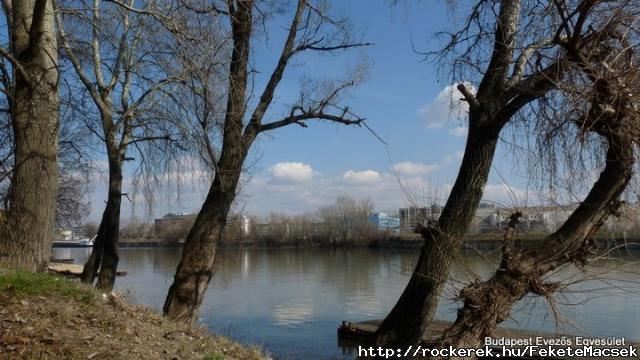 20090314-sziget-nagytakar%C3%ADt%C3%A1s-294_resize