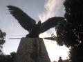 DSC00118