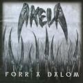 Forr A Dalom