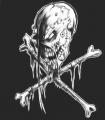 Misfits skull