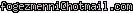msn