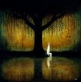 Andy Kehoe