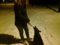 havaskutyis. (: