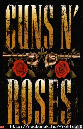 Guns n