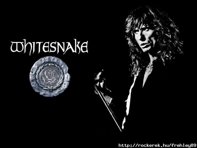 Whitesnake