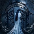 Darkness_Embraced