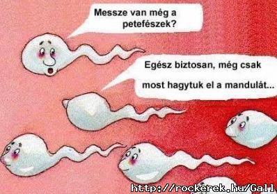 2 sperma beszlget