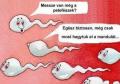 2 sperma beszlget