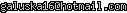 msn