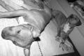 DSC06089