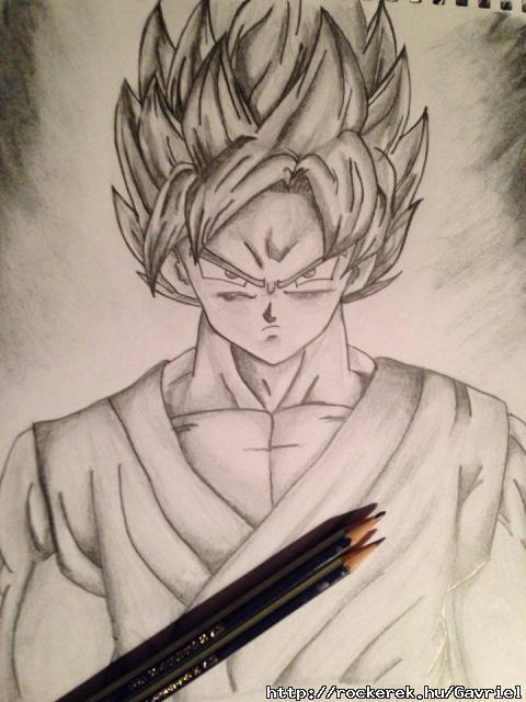 Super Saiyan God Super Saiyan Son Goku
