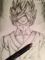 Super Saiyan God Super Saiyan Son Goku