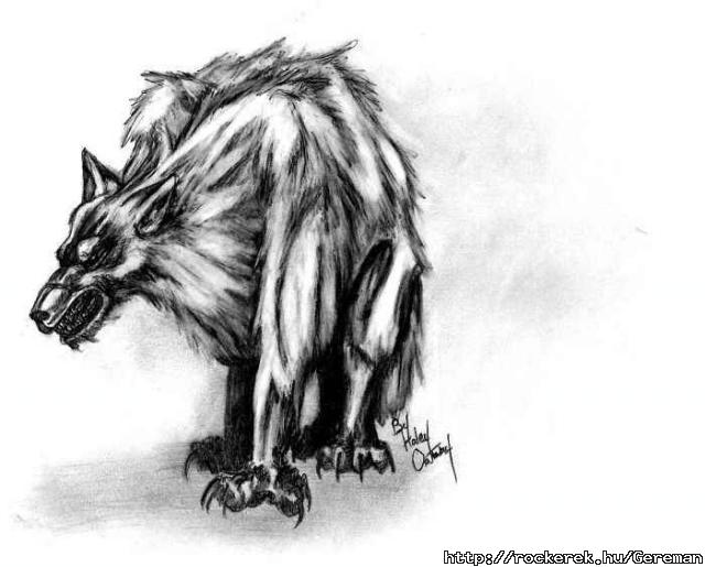 fenrir