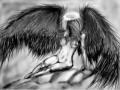 gimp-angel (sajt)