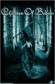 Children-Of-Bodom-web