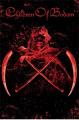 lgpp31474+follow-the-reaper-children-of-bodom-poster