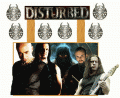 disturbed