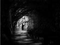 DarknessFallsblackandwhite