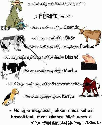 Szeretem az llatokat