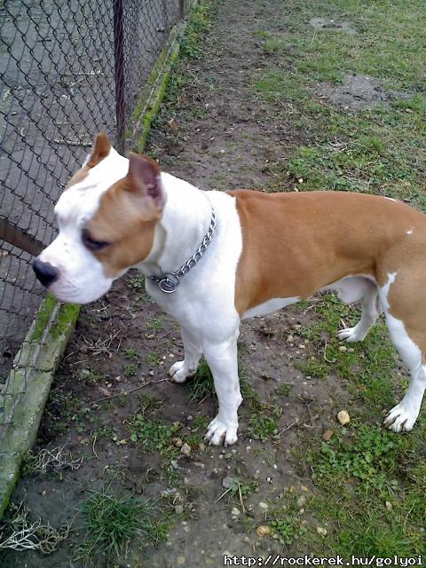 a Manka:D