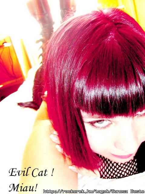 smink 024 msolata