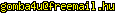 msn