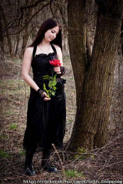 IMG_4984