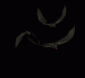 goth madarak