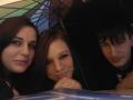 Anita, n, Kutus