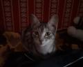 Luna:)