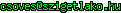 msn