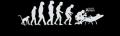 1450296_647147458640579_506963843_n