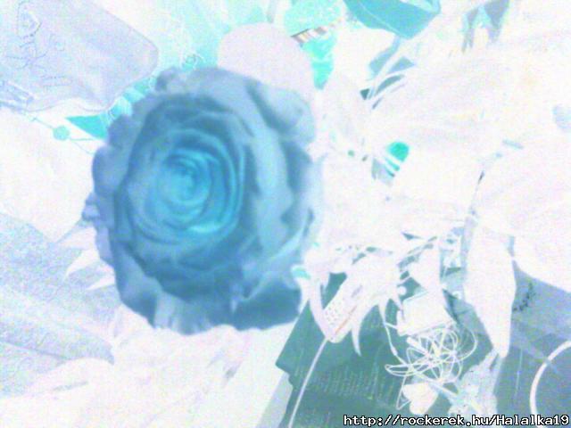 DSC00657