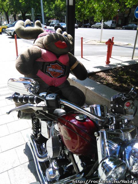IMG_20170821_141312