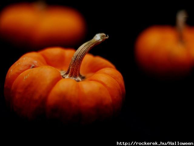 happy-halloween-pumpkin-image-31002