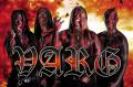 Varg_520x344