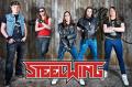 steelwing_520x344