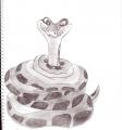 Kaa