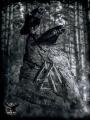 Huginn  Muninn