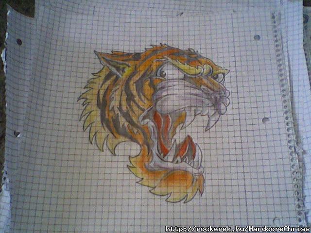 New School tigrisbigris