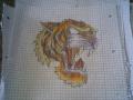New School tigrisbigris