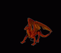 dragon-16-june