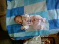 Lnyom